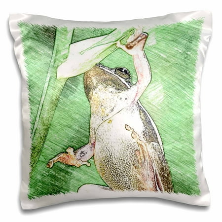 3dRose Frog digital art colored pencils, Pillow Case, 16 by