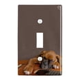 thumbnail image 1 of Boxer Puppy Dog Sleeping on Guitar Plastic Wall Decor Toggle Light Switch Plate Cover, 1 of 4
