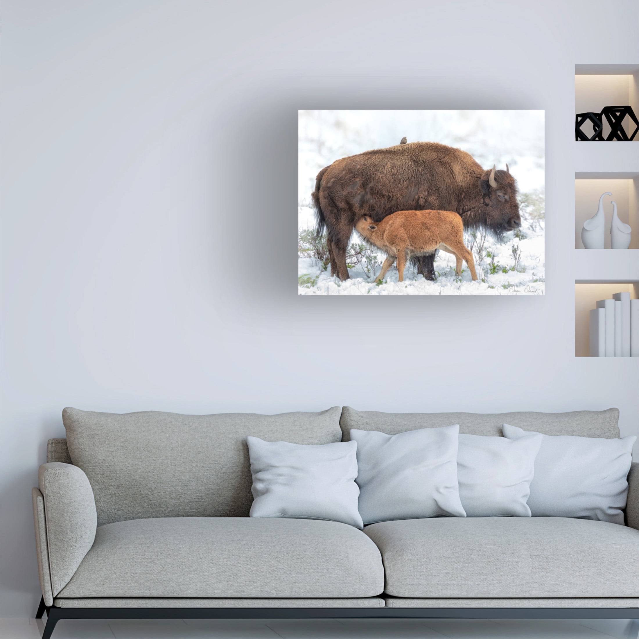 Trademark Fine Art David Drost  Mother's Milk Canvas Wall Art