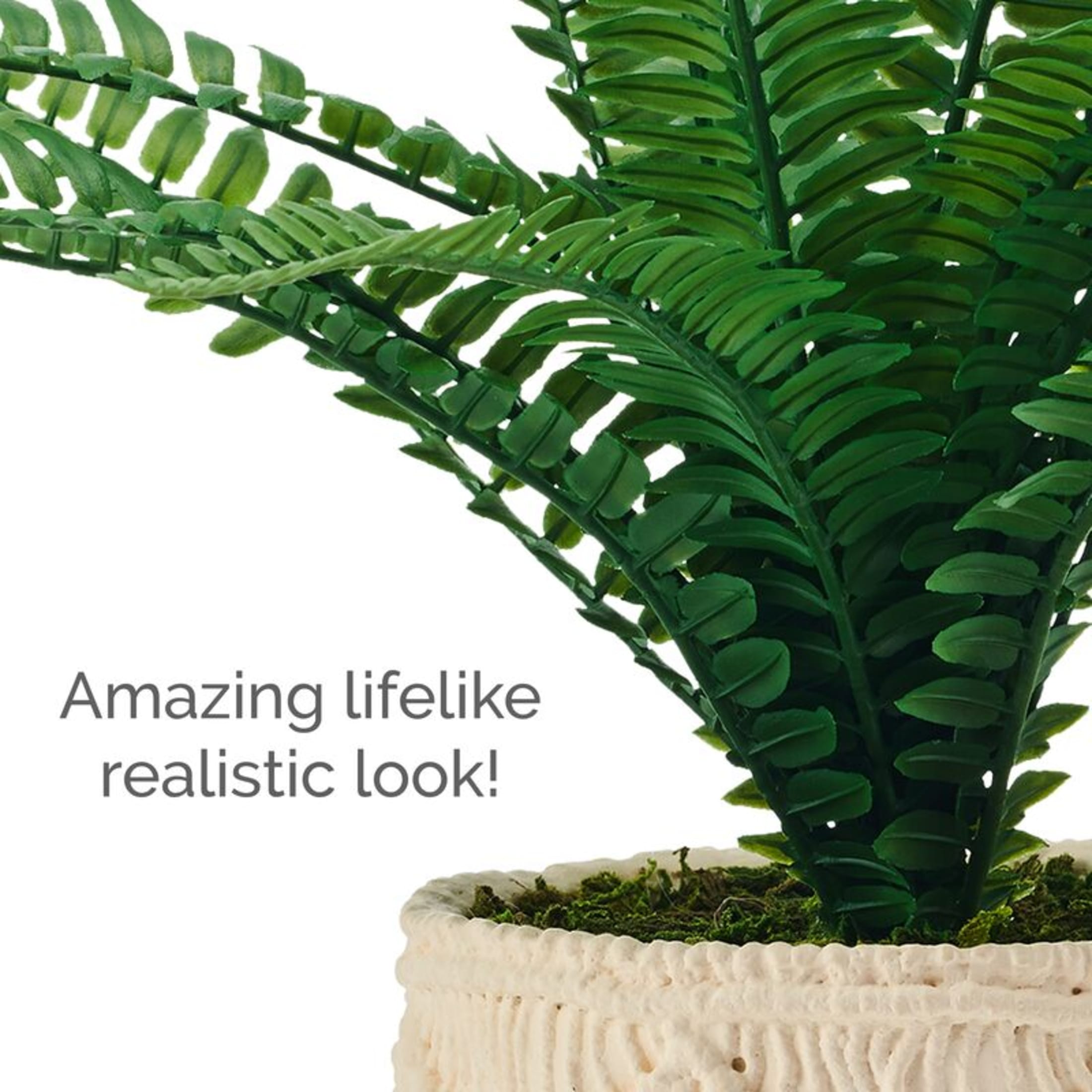 Elements 18 inch Fern in Embossed Cement Pot Green