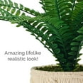 thumbnail image 5 of Elements 18 inch Fern in Embossed Cement Pot Green, 5 of 7