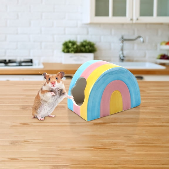 Ceramic Hamster Hideout House, Small Animal Cool Cave with Rainbow Design, Cozy Hiding Place for Hamsters, Mice, Gerbils and Pet Rodents