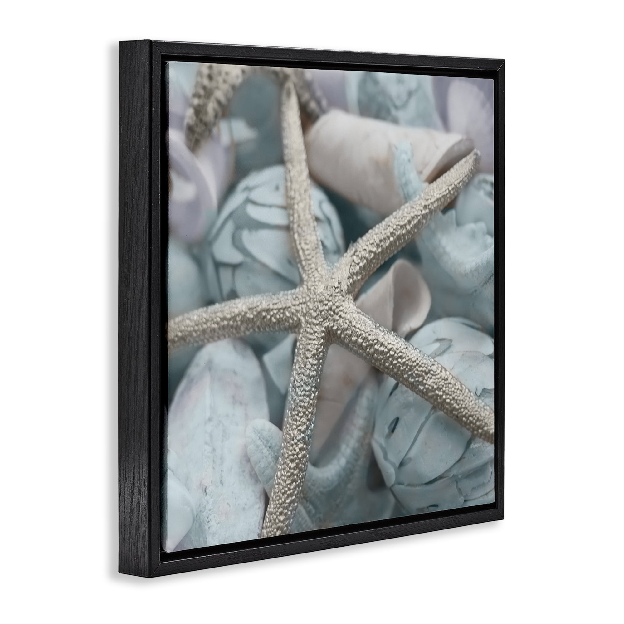 Stupell Industries Starfish & Various Shells Nautical & Beach Photography Black Floater Framed Canvas Art Print Wall Art, 18 x 18