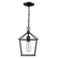 thumbnail image 7 of Trans Globe Lighting 30261 Lacey Too 8 Wide Mini Pendant - Black, 7 of 7