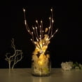 thumbnail image 5 of Balsa Circle Brown 3 Warm White 31 in LED Trees Lighted Artificial Branches Party Events Decorations Supplies, 5 of 8