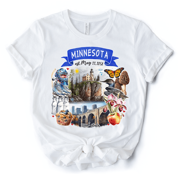 Artistic Minnesota State Themes and Landmarks T-Shirt, Tee for History and Travel Lovers