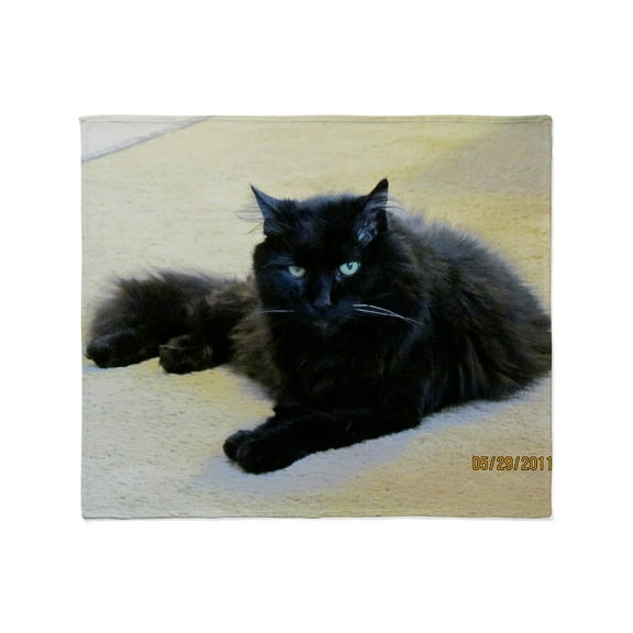 CafePress - Black Cat Throw Blanket - Soft Fleece Throw Blanket, 50"x60" for All Ages