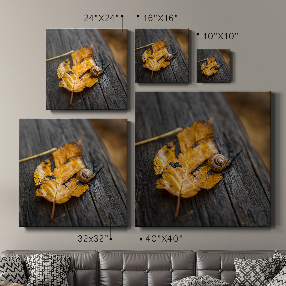 Wexford Home Snail's Pace-Premium Gallery Wrapped Canvas, 16" x 16" - Ready to Hang
