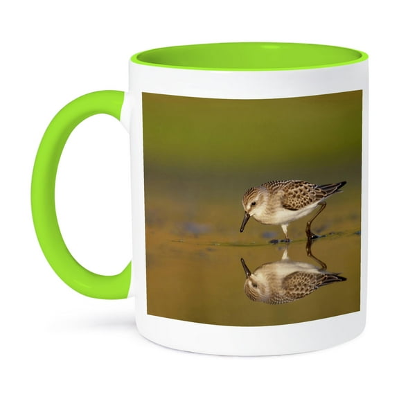 3dRose, New York City, Jamaica Bay Refuge, Sandpiper bird - US33 BJA0045 - Jaynes Gallery, 11oz Two-Tone Green Mug