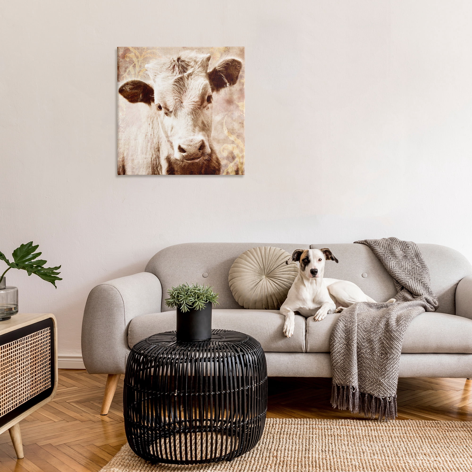 Stupell Industries Abstract Sepia Cattle Animals & Insects Photography Gallery Wrapped Canvas Art Print Wall Art, 30 x 30