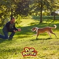 thumbnail image 4 of Pup-Peroni Dog Treats with Real Beef Brisket, Hickory Smoke Flavor, 5.6-Ounce Bag, 4 of 15