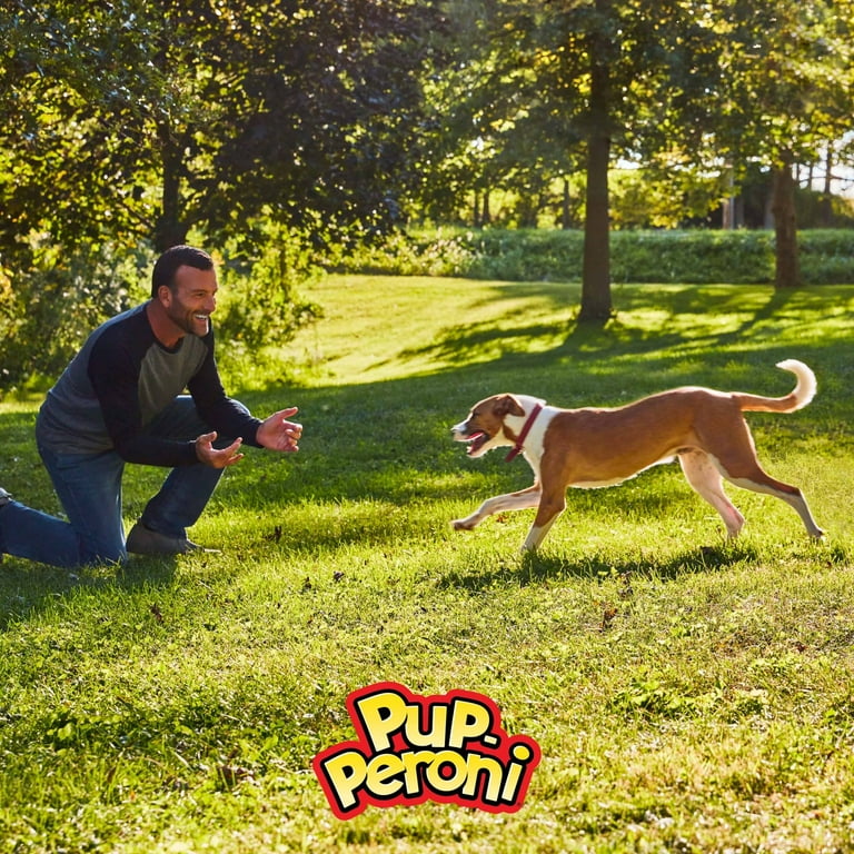 Pup Peroni Original Beef Flavor Dog Snacks 38 Ounce Bag