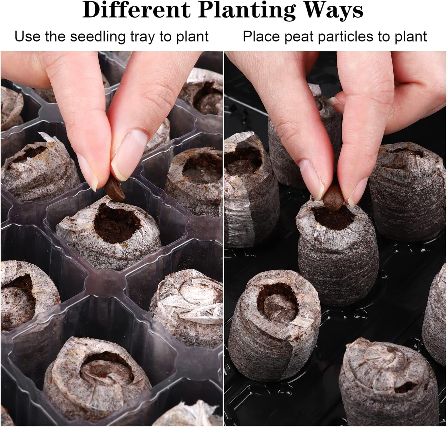 Seed Starter Tray Kit with Humidity Dome and Base Including Peat Pellets, Plant Labels, Tool, Plant Growing Tray for Garden Planting