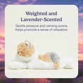 thumbnail image 4 of warmies Junior 9” Calico Cat Stuffed Animal, Microwavable Heated Plushies and Weighted Soft Plush Toys, 4 of 7