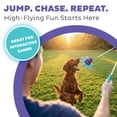 thumbnail image 2 of Outward Hound FlyFetch Teaser Wand Dog Toy with Crinkle Attachment, Durable for Indoor & Outdoor Play, All Breeds, 17.7", 2 of 3