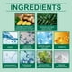 thumbnail image 4 of Pisexur Belleza Maquillaje Pasta de dientes fresca con menta y hierbas, protección para el aliento y glaseado, limpieza diaria, cuidado bucal y pasta de dientes para la carpara mujeres y hombres, 4 of 6