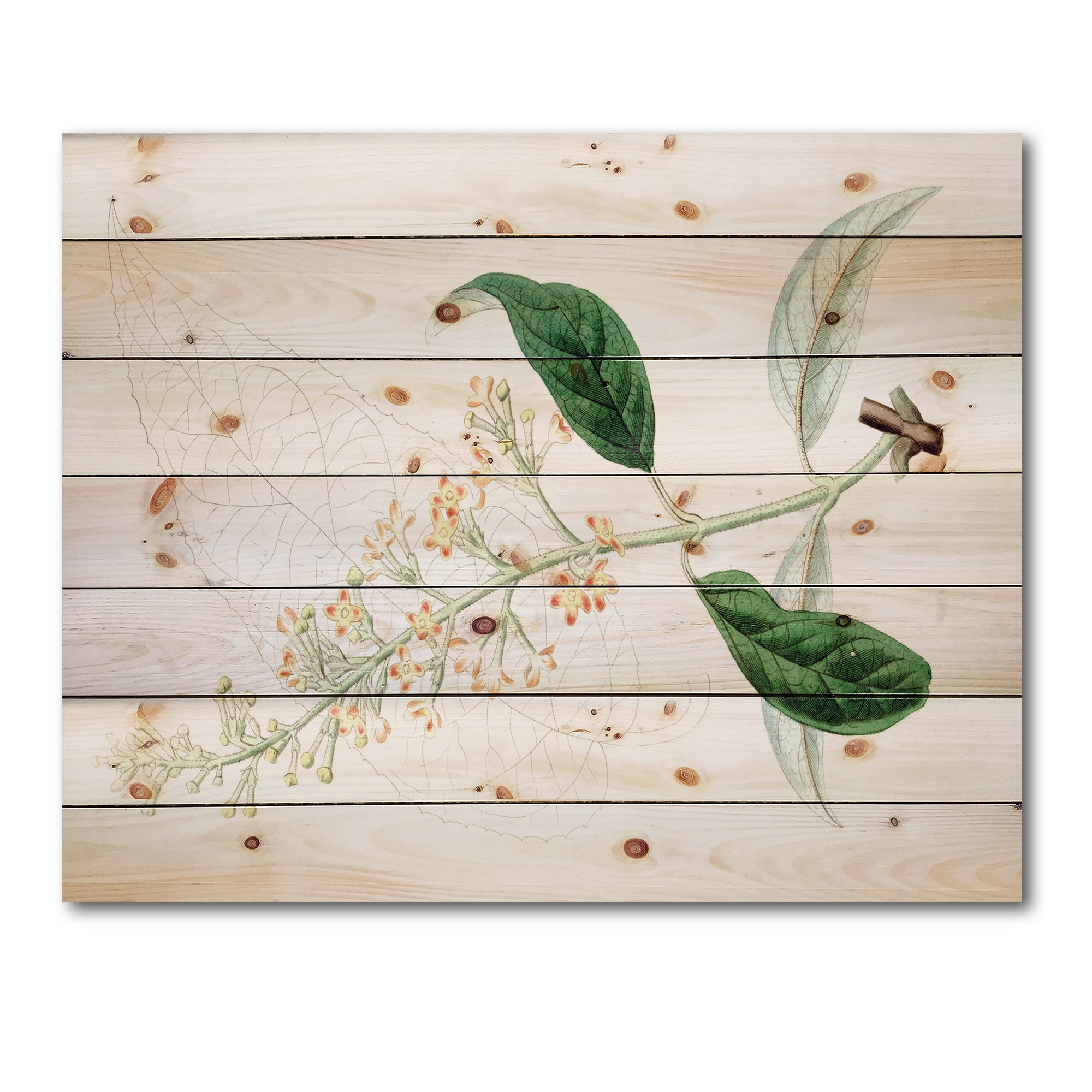 Designart 'Ancient Plant Life XXVII' Traditional Print on Natural Pine Wood
