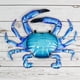 thumbnail image 4 of 14 pulgadas océano barracuda cangrejo colgante de pared hierro vidrio artesanía jardín piscina decoración de la pared Sincero Electrónica, 4 of 4