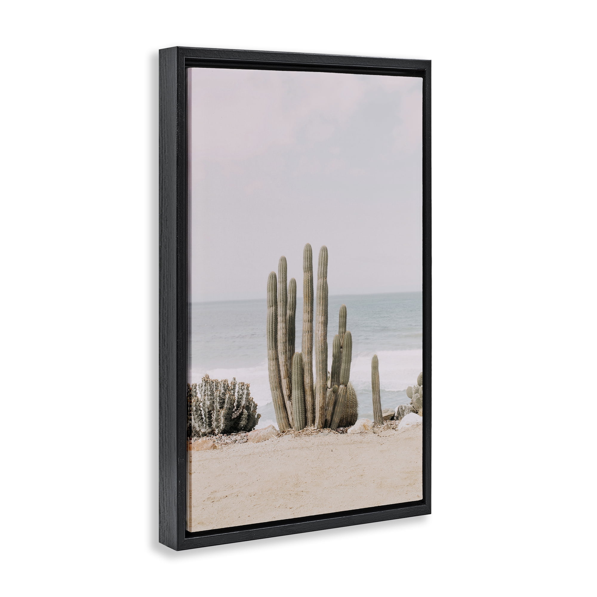 Stupell Industries Cactus on Beach Shore Landscape & Nature Photography Black Floater Framed Canvas Art Print Wall Art, 21 x 31
