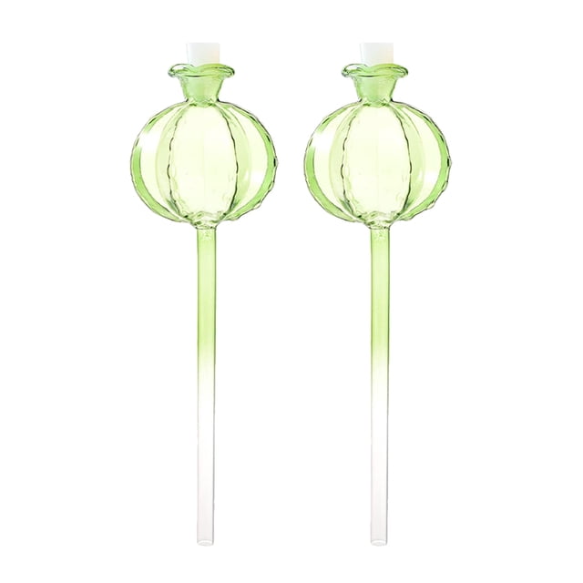 2pcs Plants Watering Bulb Automatic Flower Watering Globe Cute Cactus Shape Glass Watering Bulb