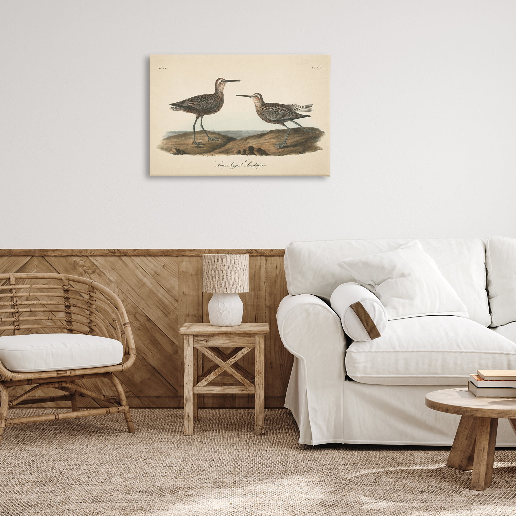 Stupell Industries Long Legged Sandpiper Animals & Insects Painting Gallery Wrapped Canvas Art Print Wall Art, 30 x 20