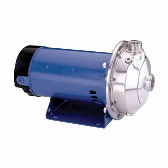 Goulds Water Technology Straight Centrifugal Pump 125MC1F1H0