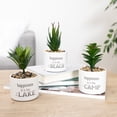 thumbnail image 5 of Lake - Artificial Potted Plant, 5 of 9