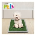 thumbnail image 4 of Alfombra Sanitaria Fancy Pets para Perro Mini, 4 of 4