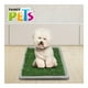 thumbnail image 4 of Alfombra Sanitaria Fancy Pets para Perro Mini, 4 of 4