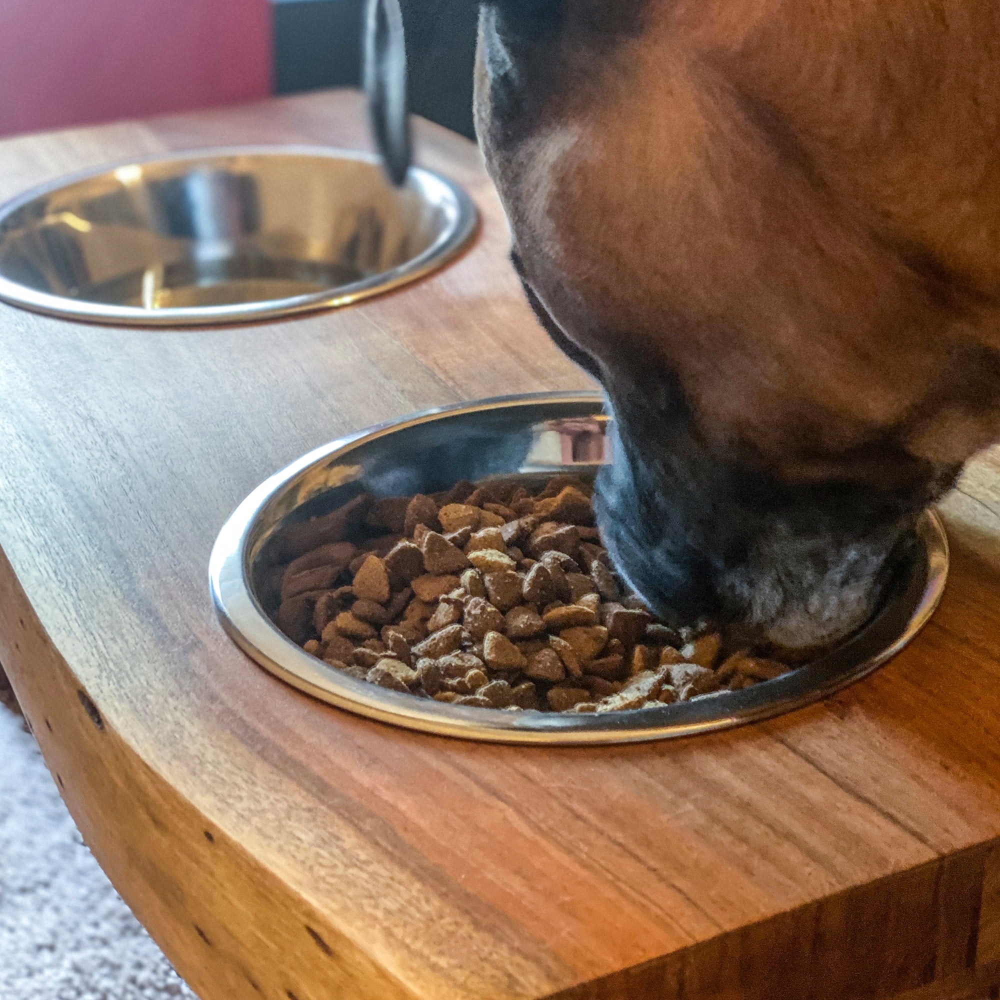 AmeriHome AWLDPF Acacia Wood Live Edge Double Bowl Pet Feeder Stand, Borwn