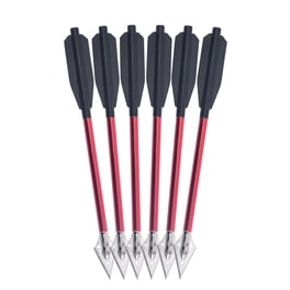 12 Flèches De Chasse Carbone MUSEN – 30 Pouces, Spine 500, Pointes Remplaçables