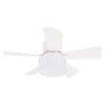 thumbnail image 1 of Ceiling Fan with Lights, Timer Function Screw in E26 Base Ceiling Fan in Light for Bedroom Garage Kitchen Bathroom Living Room, 1 of 7