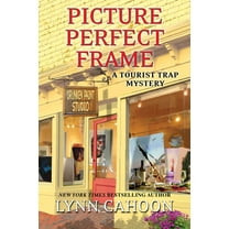 Tourist Trap Mystery Picture Perfect Frame, Book 12, (Paperback)