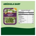 thumbnail image 2 of Arúgula baby Earthbound Farm orgánica 142 g, 2 of 4