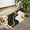 Black White Gold, variant on Teal Gold Marble Pattern Door Rugs,Washable Non Slip Door Mats Indoor,Decorative Door Mats,Entry Mat Indoor for Entrance,Bedroom,Kitchen,Bathroom,17"x30"