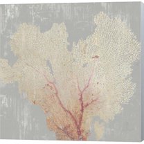 Metaverse C950469-0120000-ACCQAMA Blush Coral I by Aimee Wilson Canvas Wall Art - 12 x 12 in.