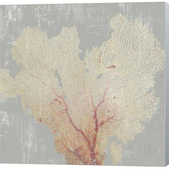 Metaverse C950469-0120000-ACCQAMA Blush Coral I by Aimee Wilson Canvas Wall Art - 12 x 12 in.