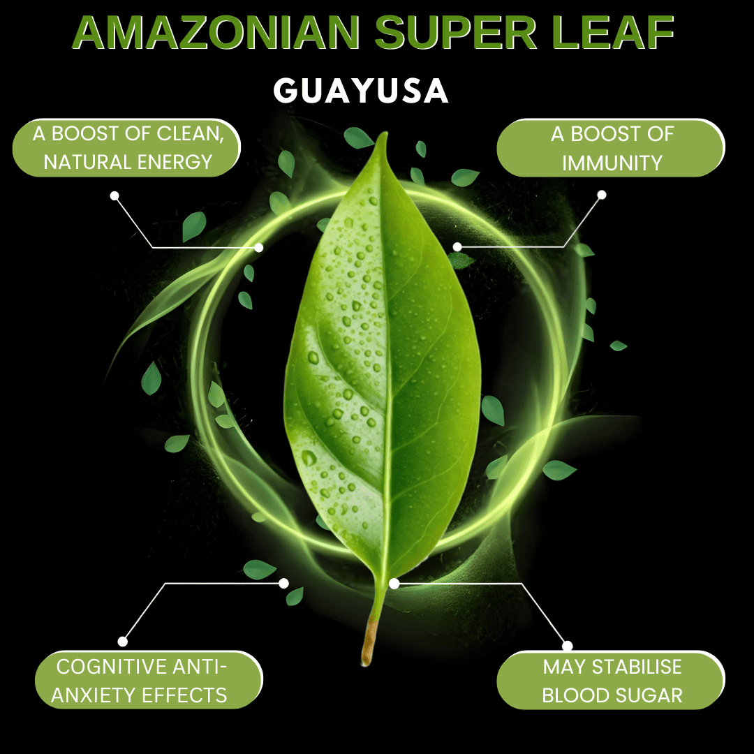 Amazonian Treasure, Organic Guayusa Tea Bags - 60 Count, Coffee Alternative, 50mg Natural Caffeine, Energy & Focus Booster, Freshness Preserving Tin, Perfect for a Gift.