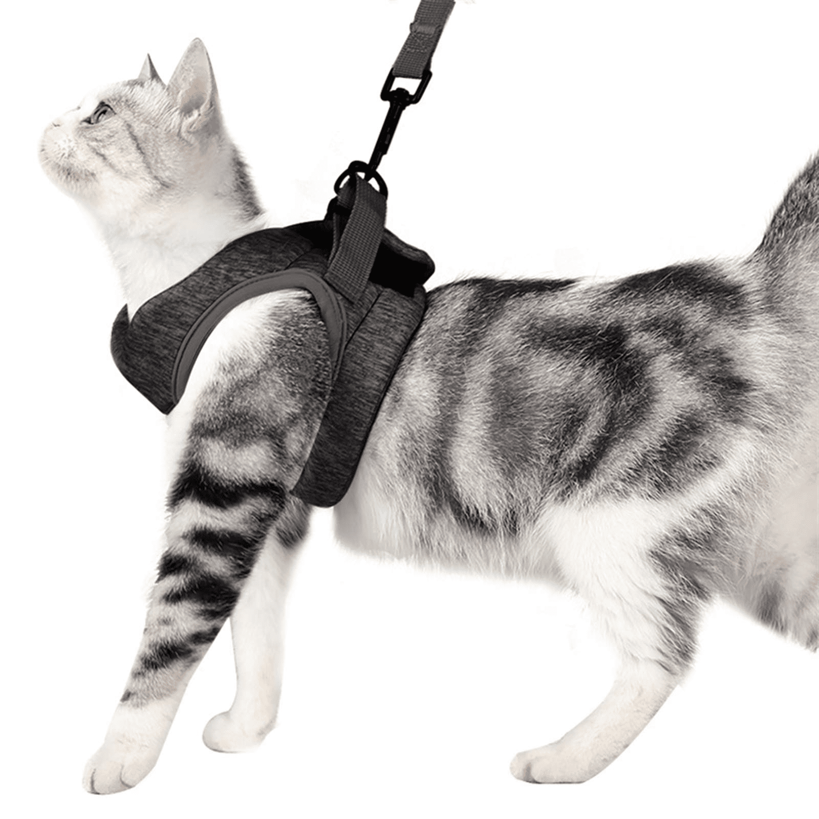 Cat Walking Harness & Leash Set Adjustable Small Puppy Kitten Rabbit Harness 