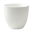 thumbnail image 6 of Balsa Circle 2 White 5.5" Plastic Succulent Planters Indoor Flower Plant Pots Party Events Decorations Supplies, 6 of 8