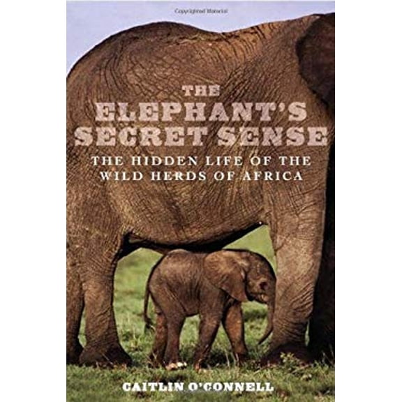 Pre-Owned The Elephant's Secret Sense : The Hidden Life of the Wild Herds of Africa (Hardcover) 9781851685585