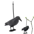 thumbnail image 3 of Crow Decoy For Outdoor Shooting Hunting New, 3 of 5