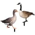 thumbnail image 3 of Garden Insert Decoration Duck Stakes Acrylic 2Pcs, 3 of 8