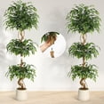 thumbnail image 6 of Artificial Ficus Tree, 4/5/6Ft Artificial Plants Indoor in Pot, Indoor Faux Green Tree for Home Decor Indoor, 6 of 8