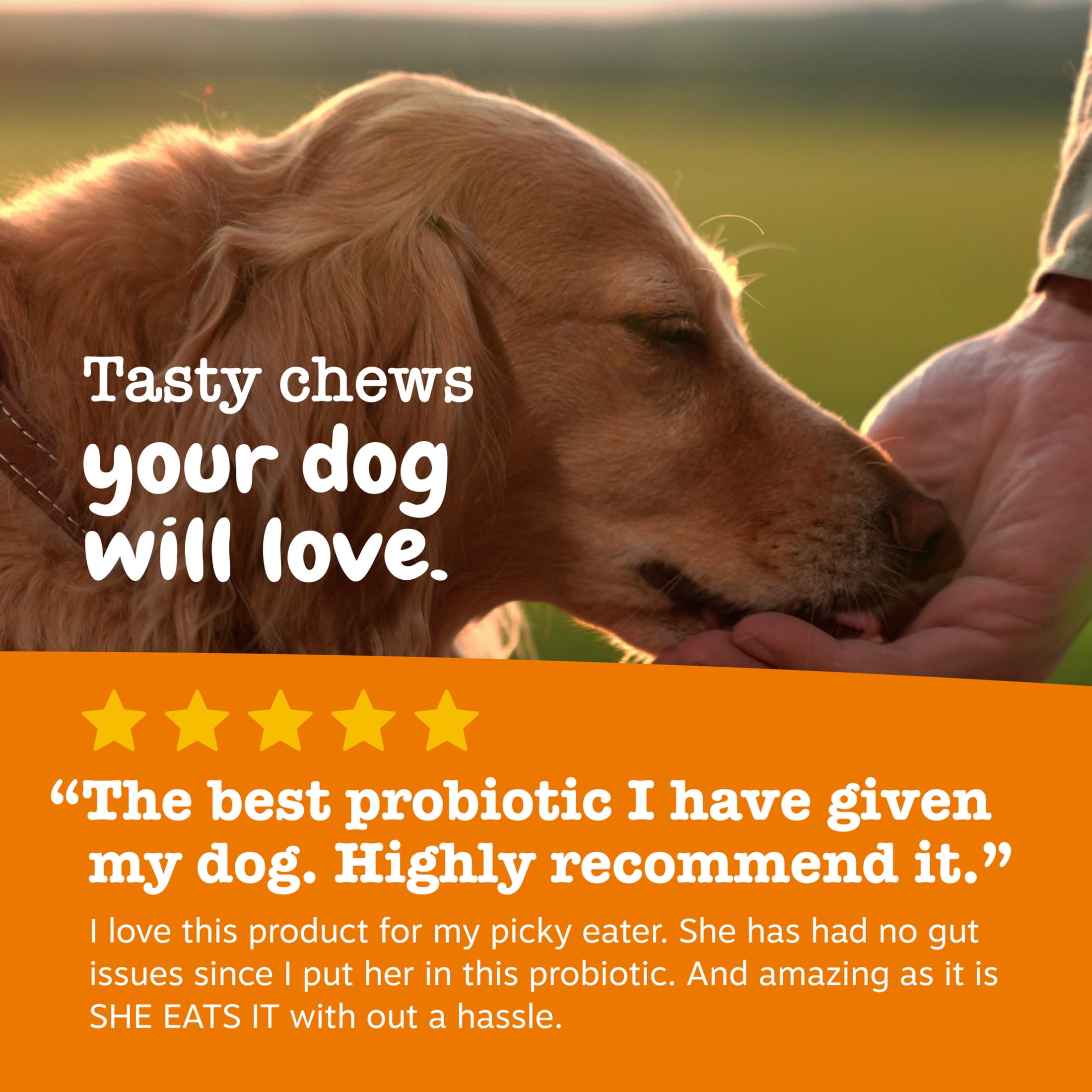 Zesty Paws Probiotic Bites Chicken Flavor Dog Supplement, 90 Count