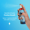 thumbnail image 4 of Dental Fresh Original Dental Spray for Dogs & Cats, 4 oz – Freshens Breath, Supports Oral Health, 4 of 8