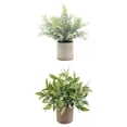 thumbnail image 1 of Planta Artificial BLESIY en Maceta 2x, 1 of 8