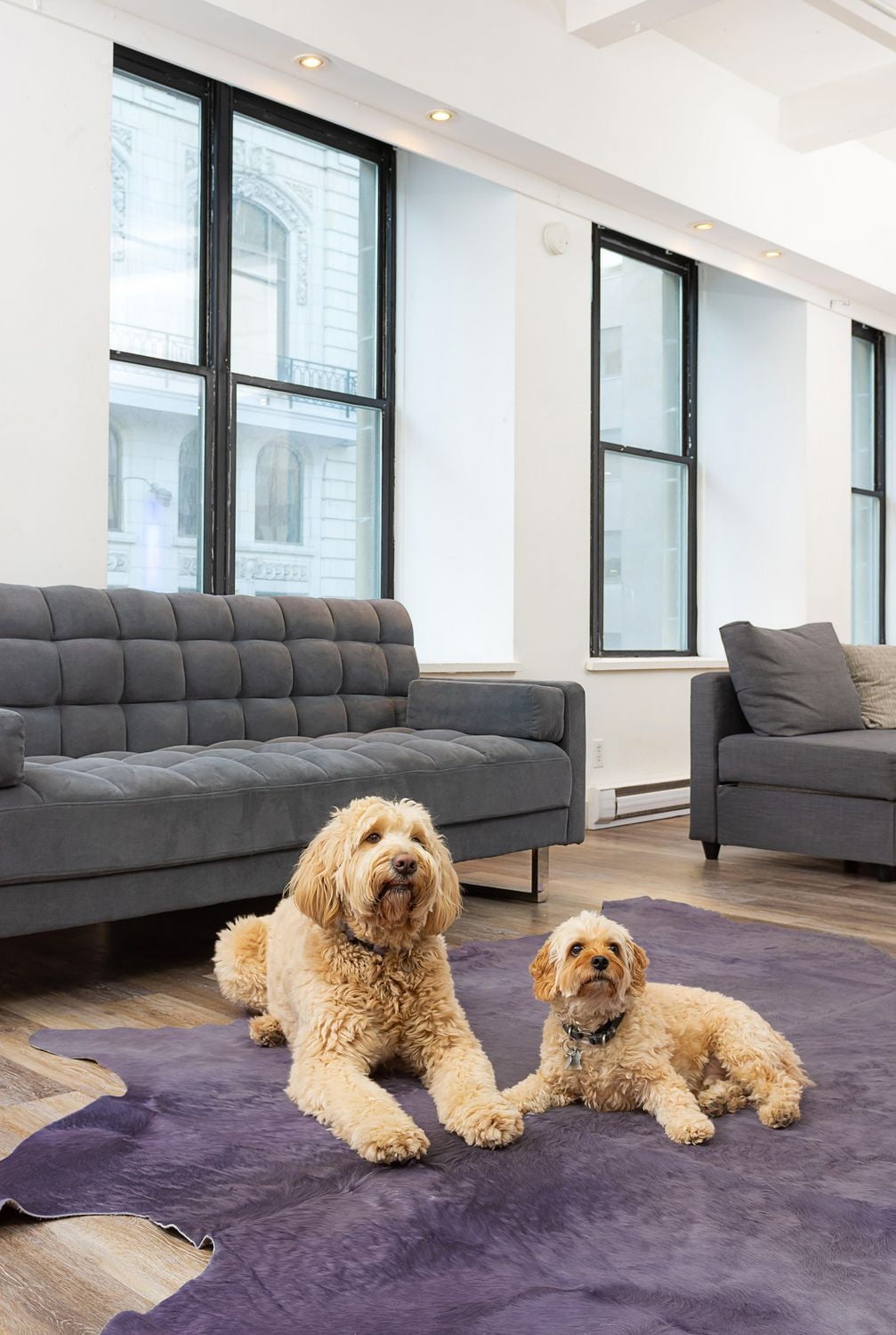 H-Natural Tapis Geneva En Peau De Vache