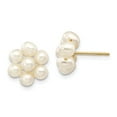 thumbnail image 1 of 14k 3-4mm White Egg Freshwater Cultured Pearl Flower Earrings in 14k Yellow Gold, 1 of 3