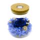 thumbnail image 1 of Botella de deseos con rosas frescas Laklulu y luces de colores: un regalo navideño para mujeres, 1 of 5